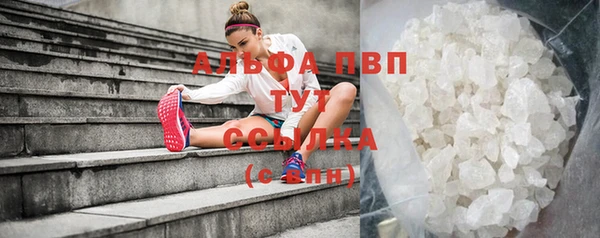 сатива Заволжск